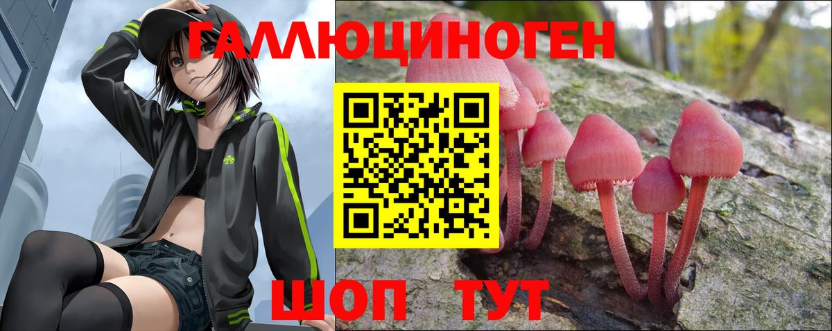 Клин  Псилоцибиновые грибы мухоморы  Галлюциногенные грибы прущие грибы  Вход с VPN 